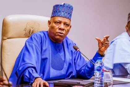 We Do Not Come To The West With A Begging Bowl - Shettima