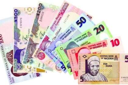 The Nigeria naira notes