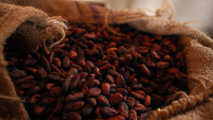 Ghana cocoa